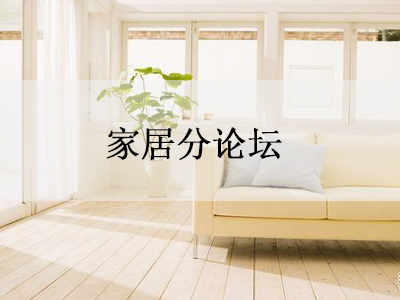 应用行业分论坛—家居分论坛