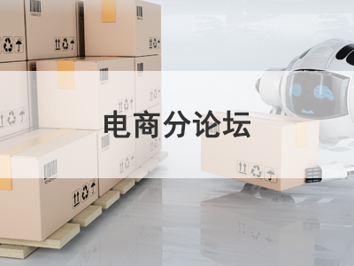应用行业分论坛—电商分论坛