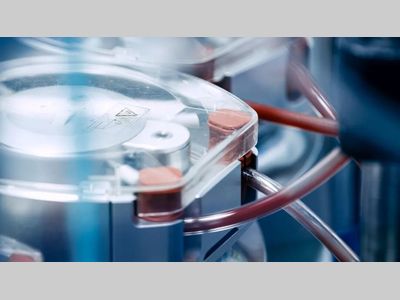 科尔摩根丨-40°C照常运转！低温伺服技术为医疗冷链交出"热情"答卷