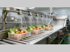 无惧潮湿侵袭 —— 德马工业防水型电动辊筒赋能食品行业 “稳运行”