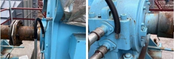 微信截图_20241220101417