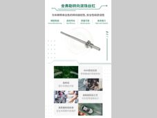 新里程碑 | 舍弗勒转向滚珠丝杠在湘潭投产
