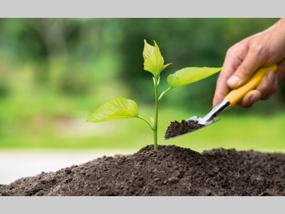 皮尔磁：安全与可持续性相辅相成