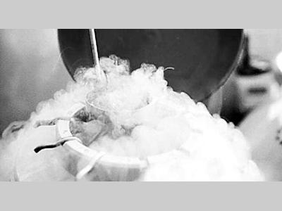 液氮及液氮罐制冷知识大科普