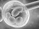国立研究院拓宽人类胚胎干细胞定义