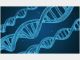 英国新研究探索DNA变异过程