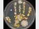 微生物实验室常见20种培养基配方大全!