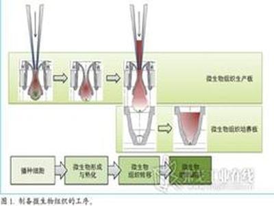 自动化移液提升培养效率