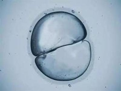 超连续谱白光激光器在生物光子学领域的应用