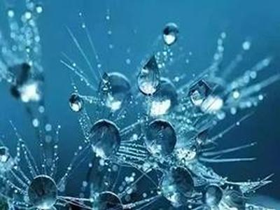 纯水-造就纯粹的实验结果