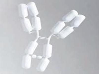 用于HPLC-SEC分析的超纯水
