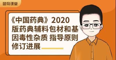 中国药典2020版辅料包材技术进展