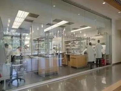斯坦福大学生物工程与化学工程中心