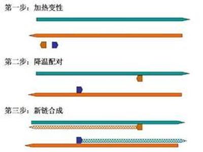 支原体PCR检测试剂盒的使用说明以及注意事项