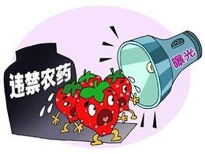 农产品质量安全控制与农药残留检测技术
