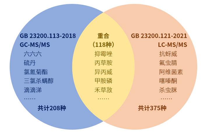 图片11