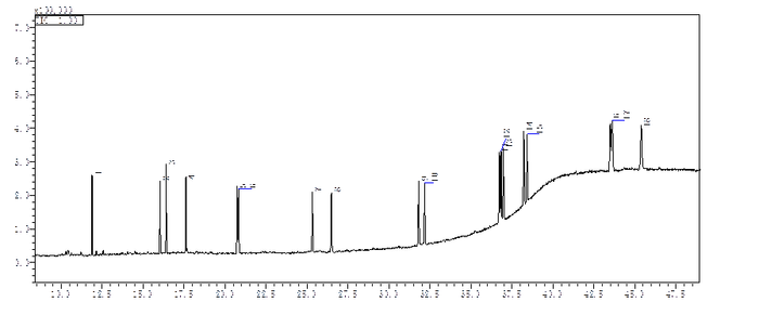 图片15