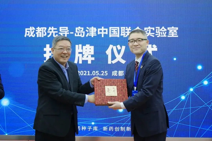 图片7