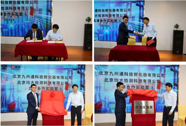 图片13