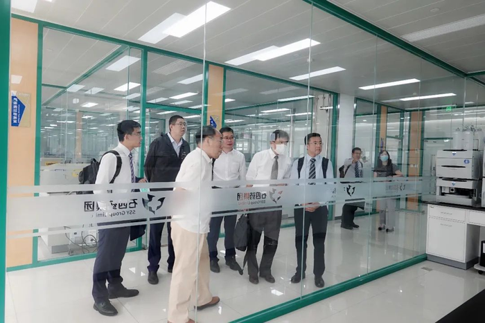 图片33
