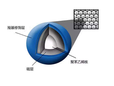 七步走！帮你快速了解DNA纯化磁珠
