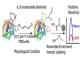 中科院大连物化所发展表征组氨酸亲核反应活性的蛋白质组学分析新方法