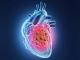德国培育出与人类胚胎心脏相似的“微型心脏”