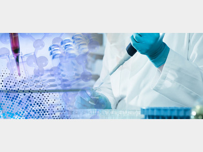 如何进行移液器的期间核查？