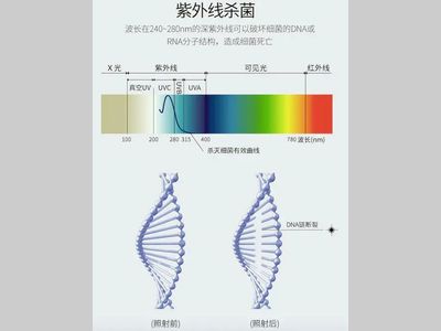 怎么判定紫外线杀菌灯的杀菌性能是否达标？