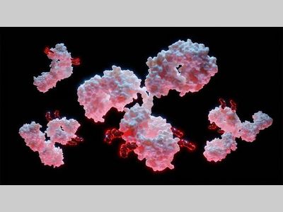 生物制药公司狂赌ADC，1000种正在开发中