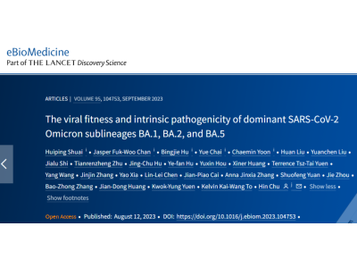 香港大学朱轩团队揭秘新冠变异毒株Omicron BA.1、BA.2和BA.5的传播适应性和致病性