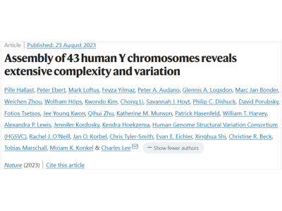 Nature：首次成功地对人类Y染色体进行全面测序