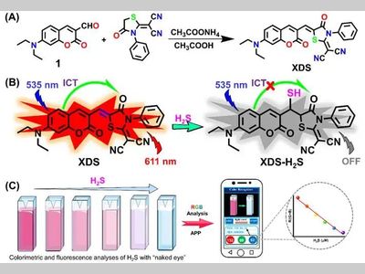 辽宁科技大学孟庆涛和昆士兰大学张润团队：荧光探针-智能手机联用实现“裸眼”检测食品中硫化氢