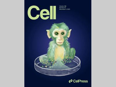 全球首次！中国科学家成功构建出生存活的高比例胚胎干细胞嵌合体猴！
