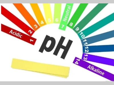 【干货分享】常见的pH电极的使用及维护