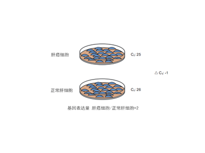 【干货】如何选择PCR 相对定量的内参基因