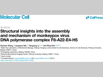 高宁/李宁宁团队阐释猴痘病毒DNA聚合酶F8-A22-E4-H5四元复合物的工作机制