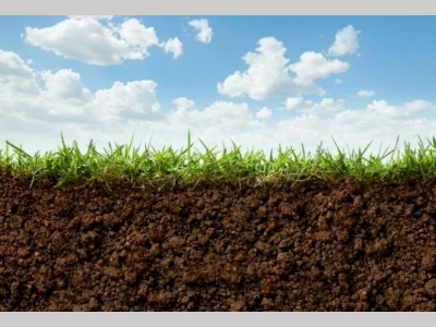 冷冻干燥技术在土壤监测领域的应用