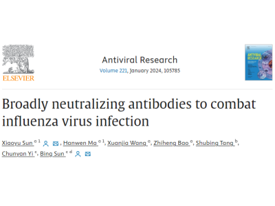 AVR | 孙晓玉团队合作发表流感病毒广谱中和抗体的研究综述