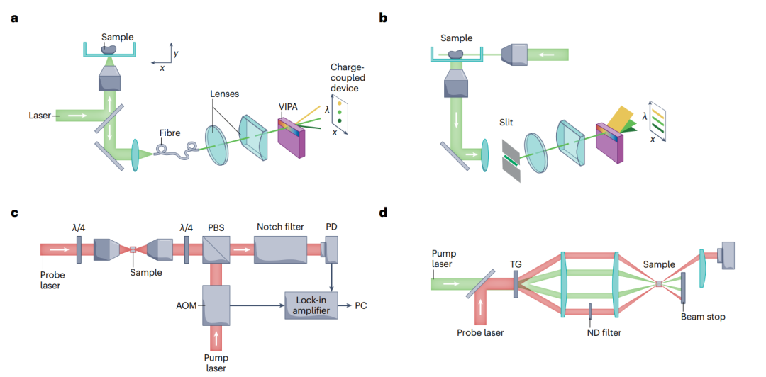 科研速递：布里渊显微镜 | Nature Reviews Methods Primers - 行业资讯 - 实验与分析