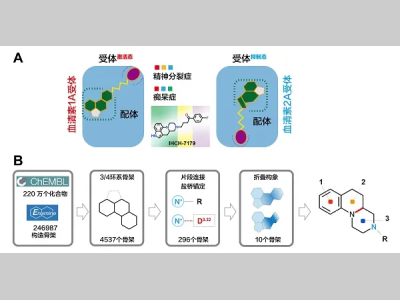 Cell | 上海药物所合作提出多靶点、多功效药物设计新——“能屈能伸”可变形骨架，“多效多能”新化学分子！！