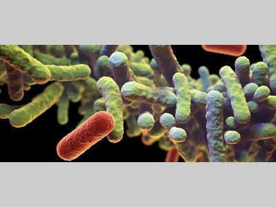 浙江大学朱永群与合作者最新Nature论文：细菌放“毒”，绵里藏针