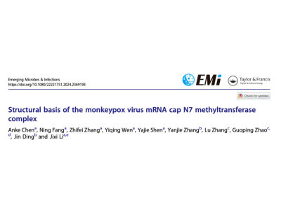 Emerg Microbes Infect | 李继喜团队解析猴痘病毒RNMT酶复合物发挥催化功能的结构基础