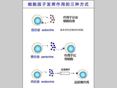 干货分享 | 52种细胞因子的来源和功能