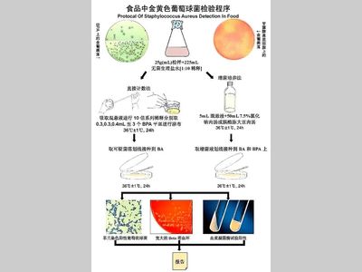 食品微生物检测流程