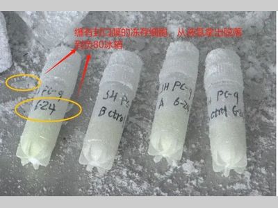 细胞冻存管需要缠封口膜吗？