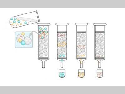 【干货】分子力测定利器凝胶色谱仪知识