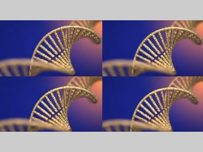 在活细胞中运行的 RNA 激活的 CRISPR/Cas12a 纳米机器人