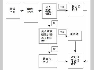 【必看】系统进化树知识点