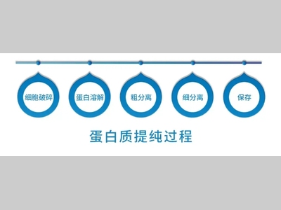 浅谈发酵后蛋白的分离纯化技术